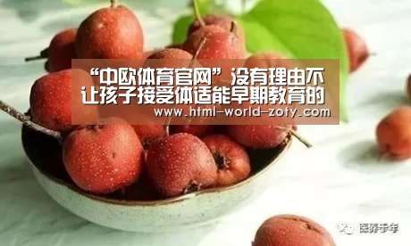 “中欧体育官网”没有理由不让孩子接受体适能早期教育的帮助(图3) 中欧体育官网