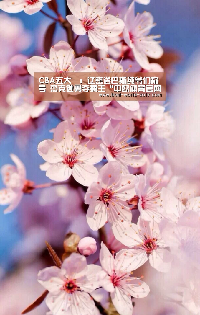 zoty体育