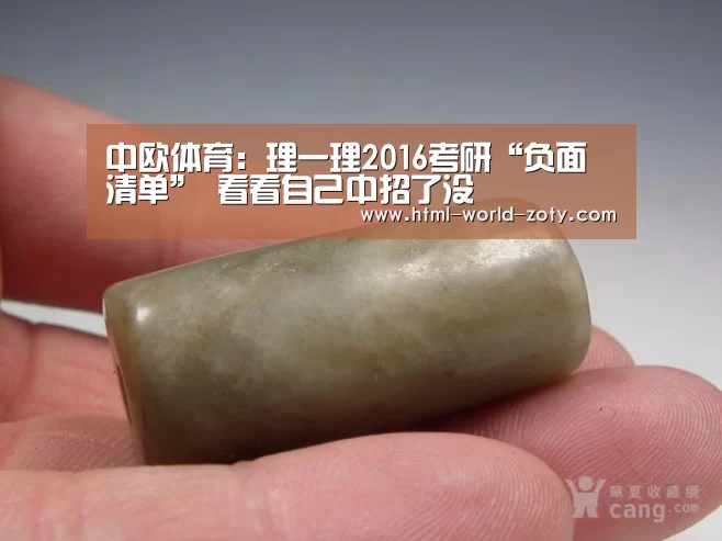 中欧体育