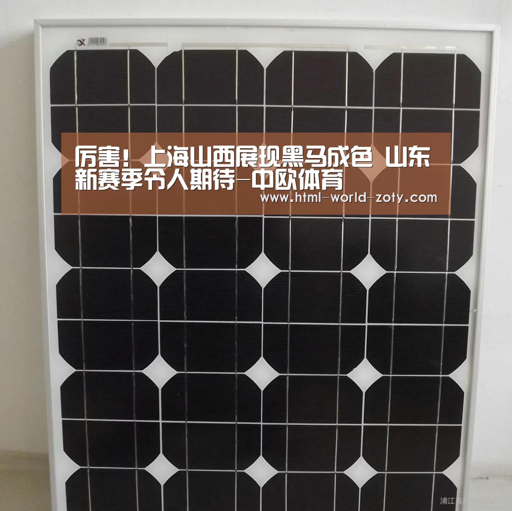 中欧体育