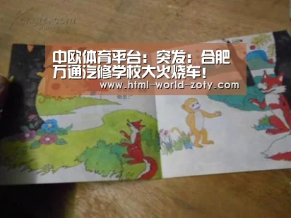 中欧体育平台:突发:合肥万通汽修学校大火烧车!(图1) 中欧体育官网