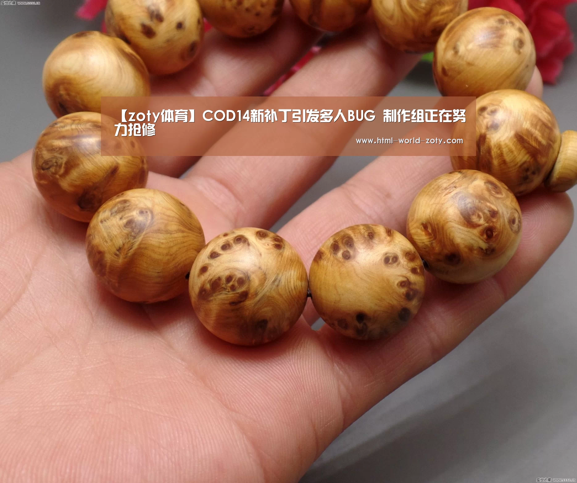 中欧体育官网